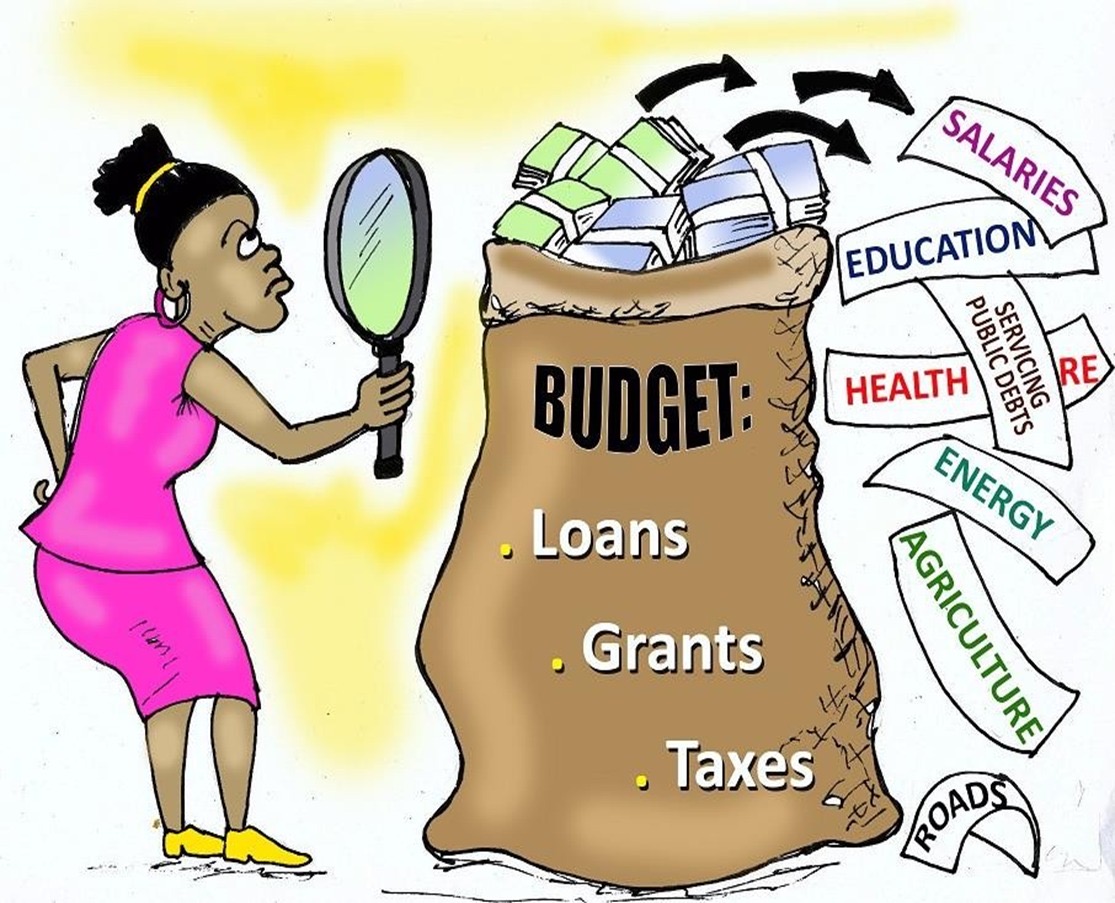 Audit and Public Debt Accountability